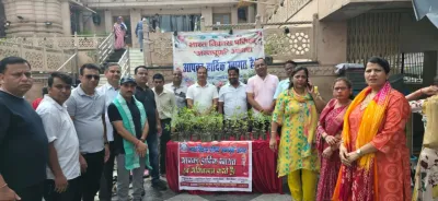 तुलसी न केवल धार्मिक रूप से पूजनीय है, बल्कि इसका वैज्ञानिक और औषधीय महत्व भी अत्यधिक