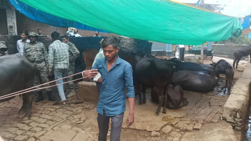 छत्ता जोन के काजीपाड़ा में आगरा नगर निगम की जबरदस्त कार्यवाही से मचा हड़कंप