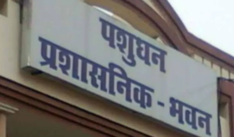पशुपालन विभाग को हाइकोर्ट ने लगाई फटकार,संचालक के पक्ष में दिया फैसला