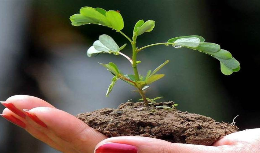 World Environment Day 2022: विश्व पर्यावरण दिवस के अवसर पर केंद्रीय स्वास्थ्य मंत्रालय 5 जून को साइकिल रैली करेगी आयोजित