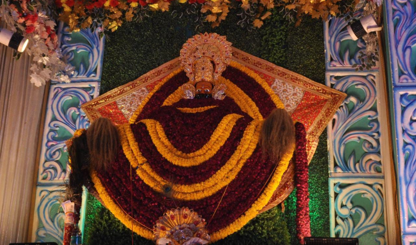 श्याम नाम के भजनों पर जमकर थिरके श्रद्धालु