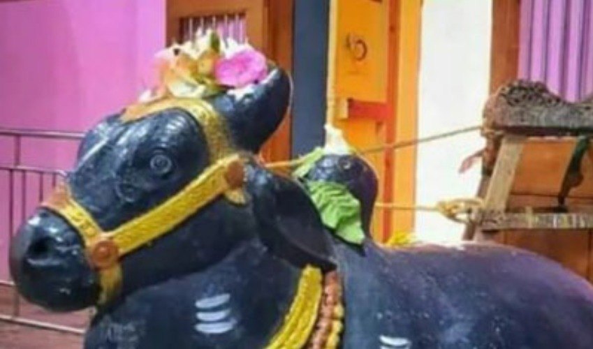 शिव नगरी में एक अनूठा प्रयास ,भोले बाबा के नंदी का एक मात्र मंदिर, जहां होती है नियमित आराधना