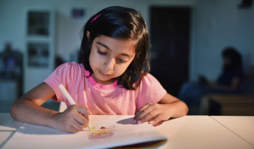 बजट में महिलाओं के लिए एक सेविंग स्कीम का ऐलान किया